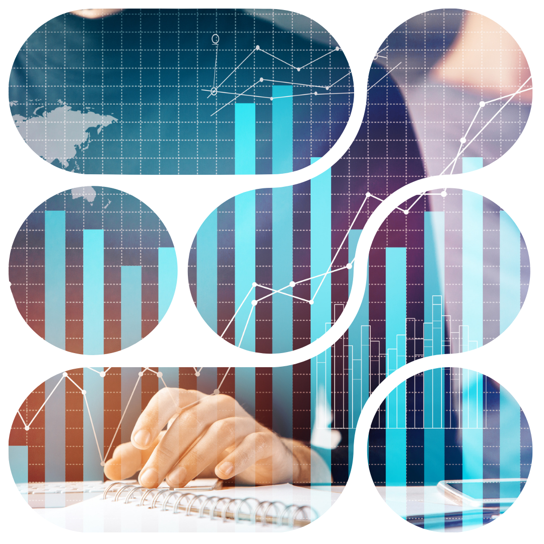 Rays Global Consultancy